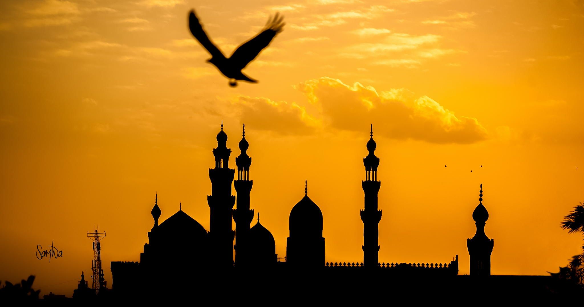 A view of Old Cairo's mosques from Al-Azhar Park. Sherif Mourad.