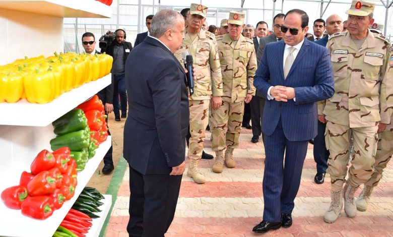 Egyptian President Abdel Fatah al-Sisi inaugurates a military agricultural project, 10th of Ramadan city northeast of Cairo, Egypt, 22 December 2018. Egyptian Presidency Handout/REUTERS.