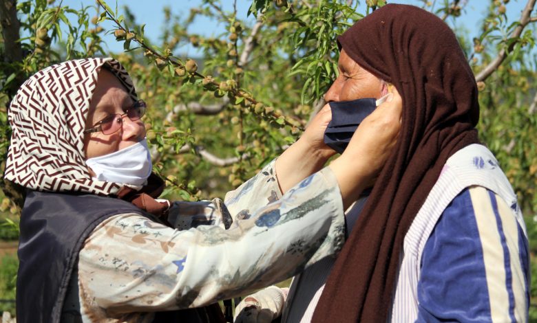 مزارعة تتلقى قناعا واقيا لترتديه كإجراء احترازي ضد انتشار كوفيد-19، تونس، 2 مايو 2020. رويترز، وسيم جديدي.