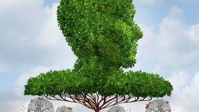 A symbollic illustration depicting economic and social inequality—a giant tree as a human head casting shadow on smaller leafless trees below. Source: Brain light/Alamy via Reuters.