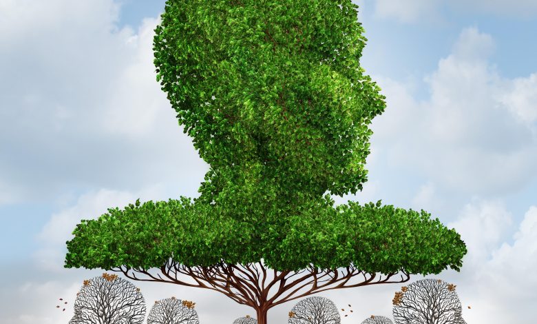 تصوير رمزي يُجسد العدالة الاقتصادية والاجتماعية - شجرة عملاقة بشكل رأس بشري تلقي ظلًا على أشجار صغيرة بدون أوراق أسفلها. المصدر: براين لايت\الامي عبر رويترز.