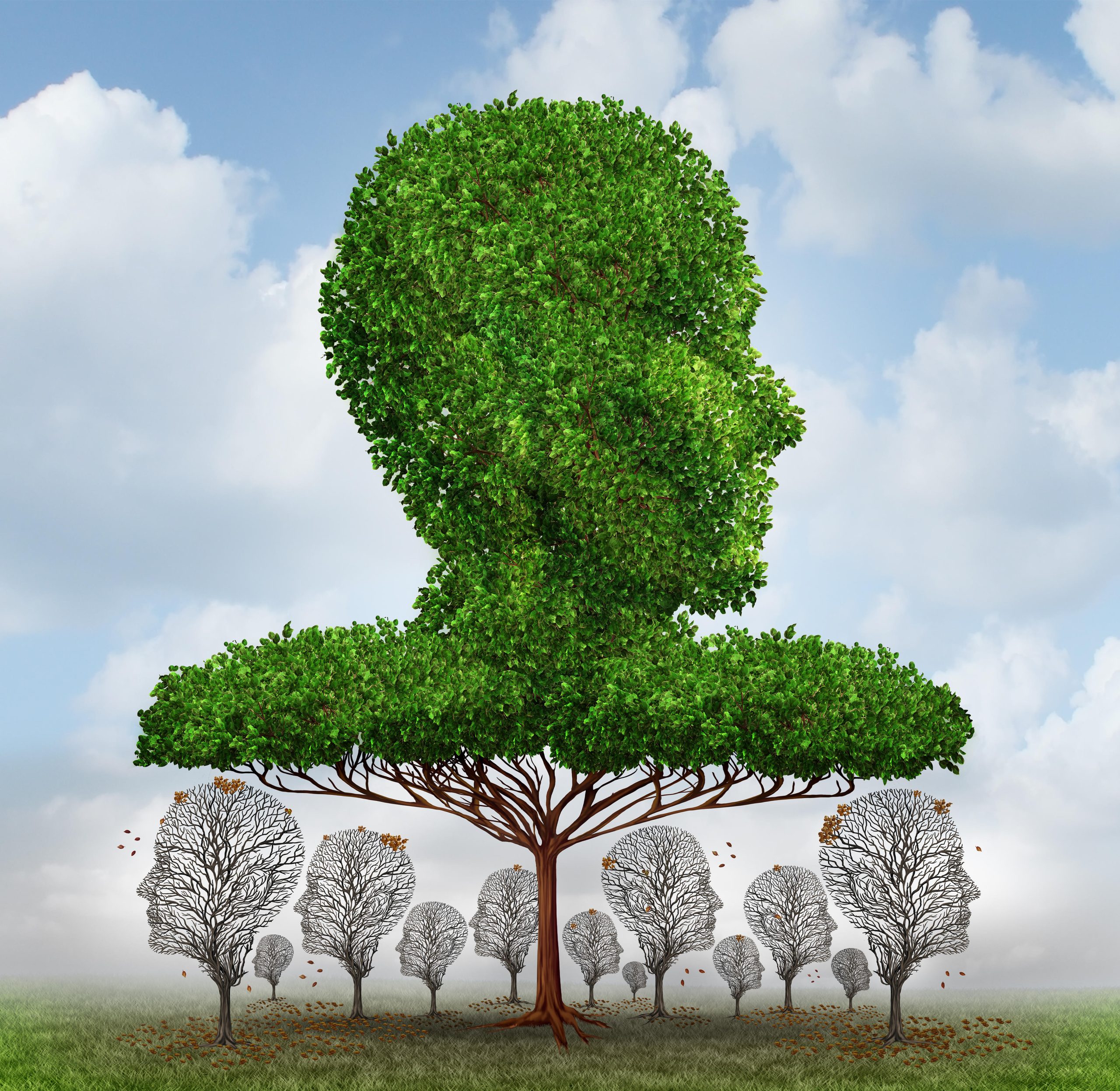 A symbollic illustration depicting economic and social inequality—a giant tree as a human head casting shadow on smaller leafless trees below. Source: Brain light/Alamy via Reuters.
