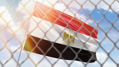An illustration depicting a steel mesh set against a backdrop of a blue sky, accompanied by a flagpole bearing the flag of Egypt, 24 April 2022. Source: Alamy via Reuters.