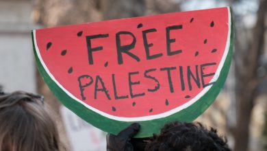 A photo of a protest sign in the shape of a watermelon at a Free Palestine rally in Halifax, Canada, 9 December 2023. Source: Wandering Views via Shutterstock.