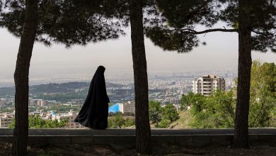 امرأة محجبة تسير وخلفها مشهد لمدينة طهران، 10 مايو 2018. المصدر: آرتوغرافي عبر شاترستوك.